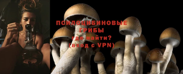 крисы Балабаново