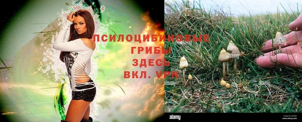 крисы Балабаново